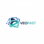 VeoFast: Bulk Video Creation